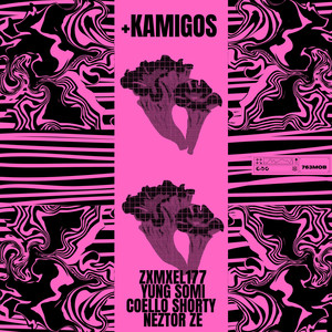 +KAMIGOS (Explicit)