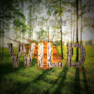 Wild