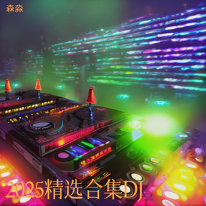 老歌精选DJ2025 (Remix)