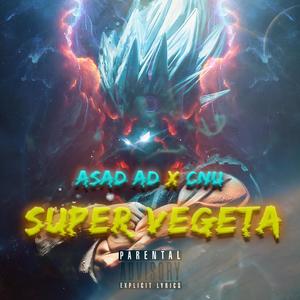 Super Vegeta (Explicit)