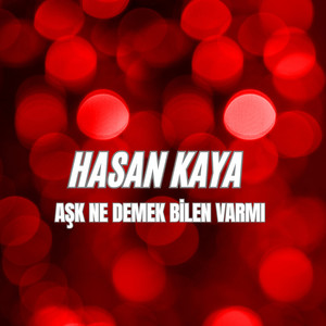 Aşk Ne Demek Bilen Varmı