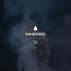 Without You (Extended Mix)