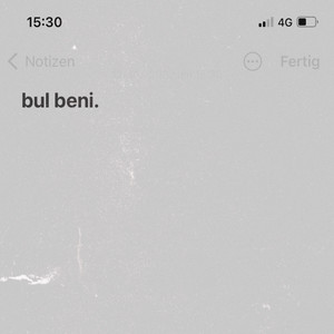 Bul Beni