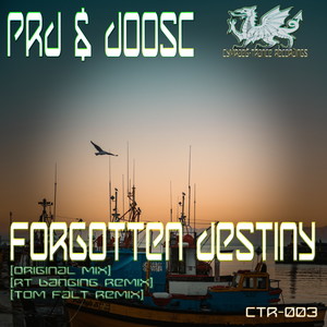 Forgotten Destiny