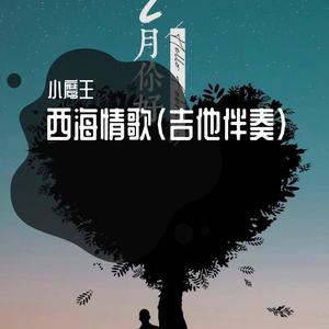 小鹰王 - 西海情歌 吉他伴奏