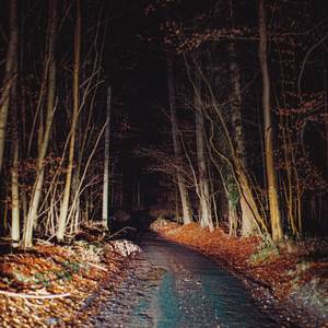 late night (Explicit)