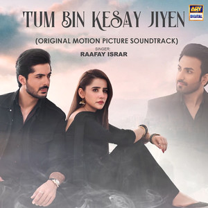 Tum Bin Kesay Jiyen (Original Motion Picture Soundtrack)