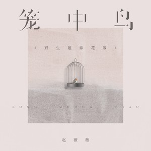 笼中鸟（双生姐妹花版）