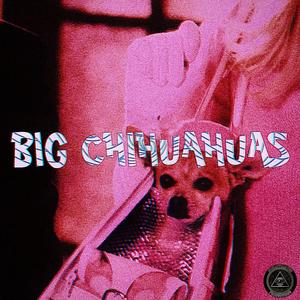 BIG CHIHUAHUAS (Red) (Explicit)