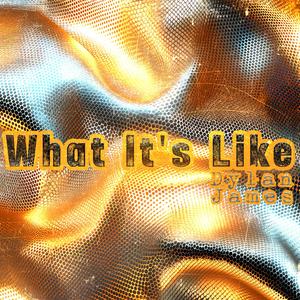 What it's like (Explicit)