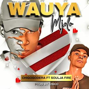 Wauya Mjolo (feat. Chigogodera & Soulja Fire)