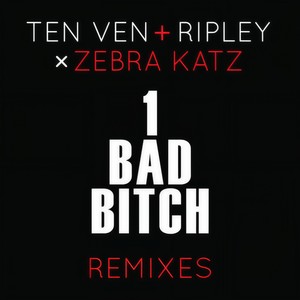1 Bad B**ch (Ten Ven & Ripley Vs. Zebra Katz) (explicit Dear David Remix)