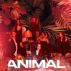 Animal