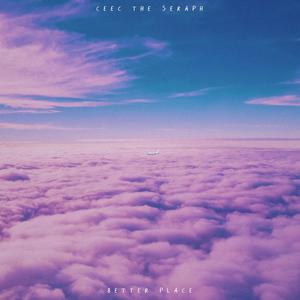 Better Place (Explicit)