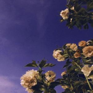 Ela é interesseira (Explicit)