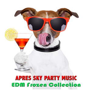 Apres Ski Party Music (EDM Frozen Collection) - Top EDM Songs, Cocktail & Drinks Elektronische Winter Party Musik Mix