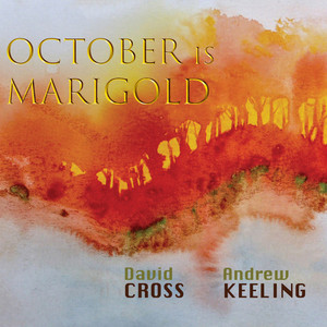 David Cross - Marigold 3