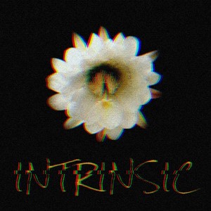 Intrinsic (Explicit)