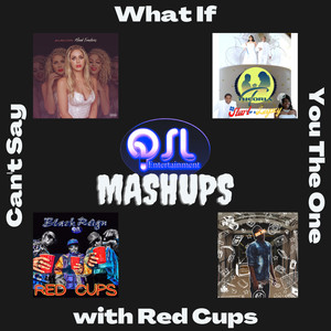 CAN'T SAY WHAT IF YOU THE ONE WITH RED CUPS (Meme Mix)