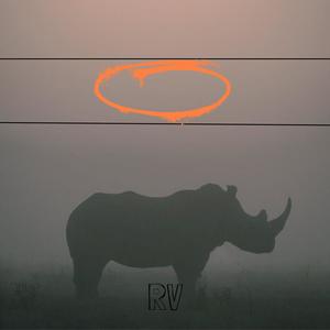 Rhino Vision