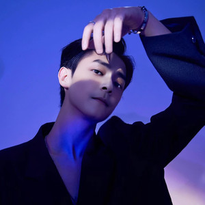 何婉黎 - 痴情种-伴奏