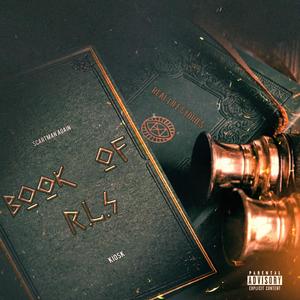 Bad Vibes (Interlude) (feat. TAMANI)