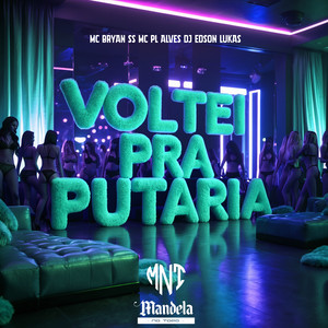 Voltei pra Putaria (Slowed+Reverb) (Explicit)