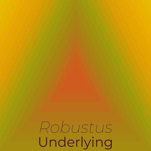 Robustus Underlying