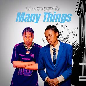 Many things (feat. Attitude Rap) (Explicit)