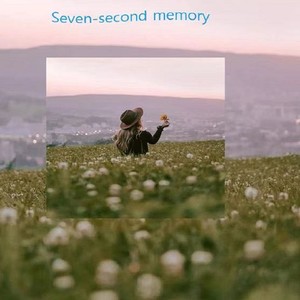 Seven-second memory