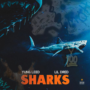 Sharks (Explicit)