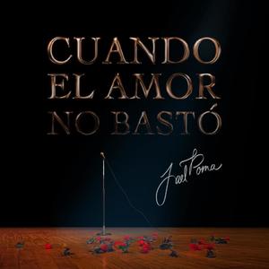 Cuando El Amor No Bastó