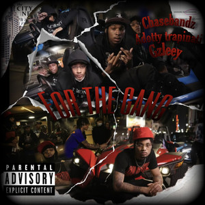 For the Gang (Explicit)