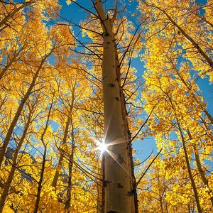 谁能陪你到最后