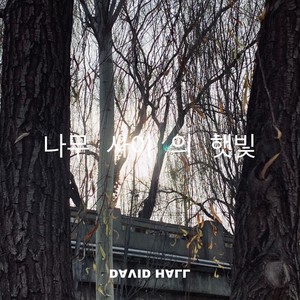 Light From The Top Of The mountain