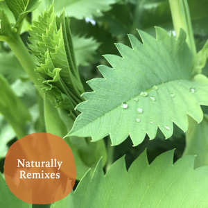 Naturally (A Cappella)