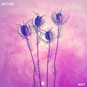 Wait (伴奏)