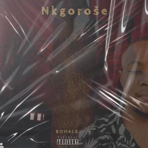Nkgoroše (feat. Young pasera) (Explicit)