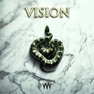 Vision (Explicit)