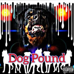 Dog Pound (Explicit)