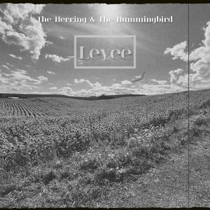 Levee