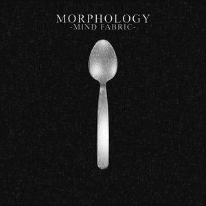 Morphology