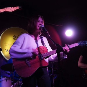 猪圈住了这些猪儿