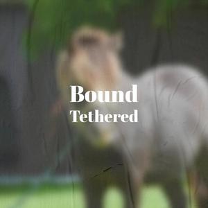 Bound Tethered