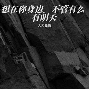 大力亮亮 - 想在你身边，不管有么有明天