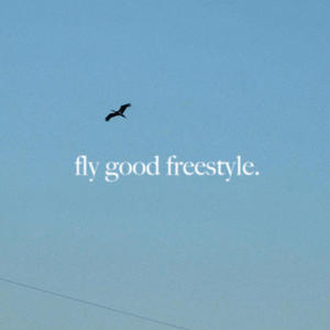 fly good freestyle (Explicit)