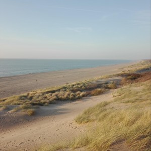 Stefano Pesapane - Bright Nights