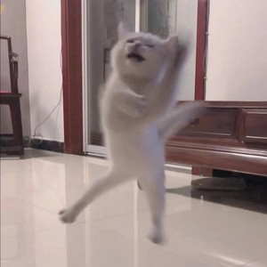 Chipi Chipi Chapa Chapa (0.98X)