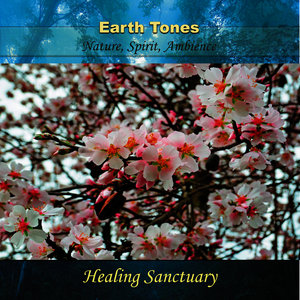 Earth Tones - Healing Sanctuary