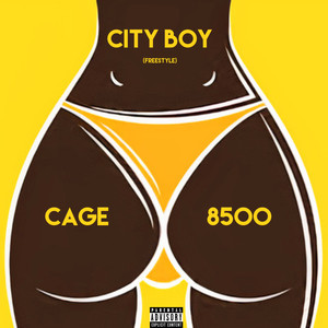 City Boy (Freestyle) [Explicit]